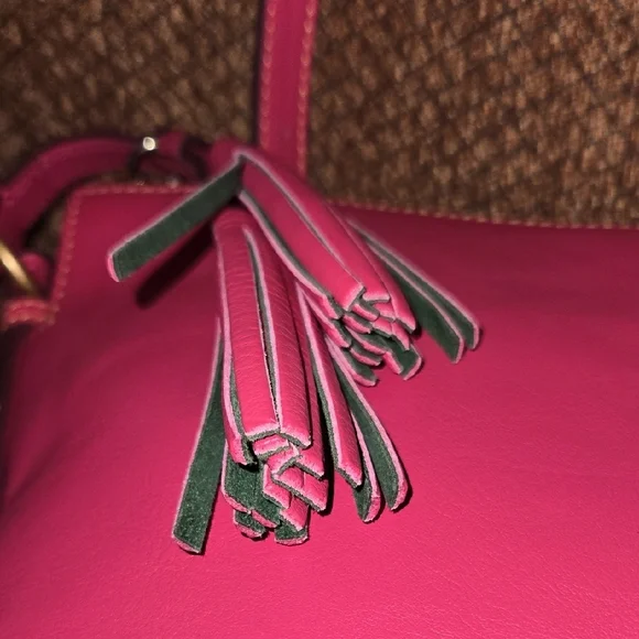 Dooney & Bourke Selina Fuchsia Florentine Leather Crossbody Bag - Picture 5 of 16